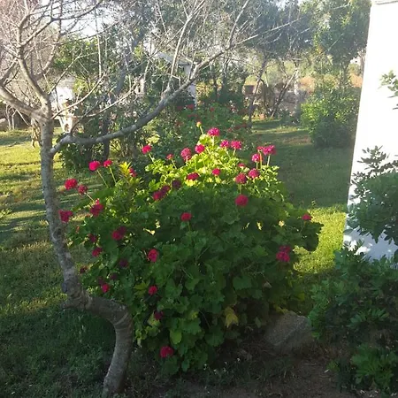 Сasa de vacaciones Residenze Soledade